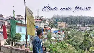 Exploring the Lava Pine Forest & Kagyu Thekchen Ling Monastery 😍