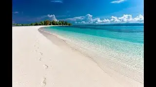 What Life Is Meant To Be -Hooked On Everything - Antony Plain - Pre-Release