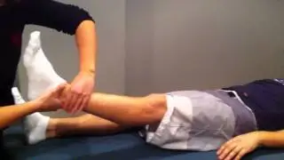 Muscle Activation Techniques