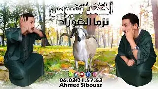 احمد سبوس | نزما الضوراد | جديد عيد الأضحى المبارك AHMAD SIBOUSS | Nzma dorad