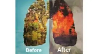 Kamusta Na Ang Amazon Rainforest Ngayon?   #PrayForAmazon #SaveTheCreationOfGod