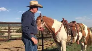 Tack Tip: Fitting a Pulling Style Breast Collar