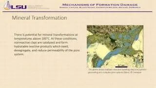 Mechanisms of Formation Damage
