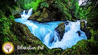 Relaxing Pal with Water Sounds - Relaxation, Sleep Music, Study Music, Yoga Music By Relaxation Pal!