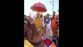 Shankaracharya Avimukteshwaranand Ji Maharaj #shorts #short #thakurnanku