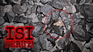 NEMU ISI PER..T dan SISA RAMBUT!