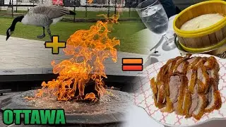 🇨🇦 Parliament Hill, 全聚德 QJD Peking Duck Ottawa, Byward Market [Canadian Trails Ep. 6]