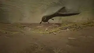 Path of Titans  - Tylosaurus Duo vs. Mosasaurus Duo (001)