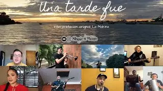Una tarde fue (Cover Merengue/Video collage)