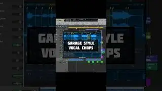 Garage Style Vocal Chops