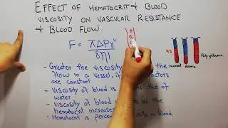 CVS physiology 64. Effect of hematocrit and blood viscosity on blood flow, poiseuille's Law.