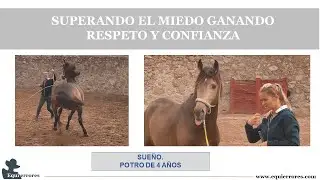 Ganando el respeto y la confianza de un potro de 4 años que se asusta