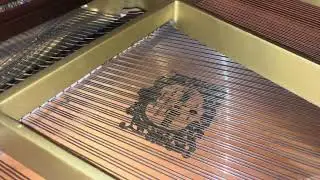 Yamaha G2 Walnut Details