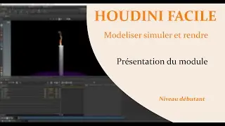 Teaser de la formation Modeliser Simuler Rendre HOUDINI FACILE
