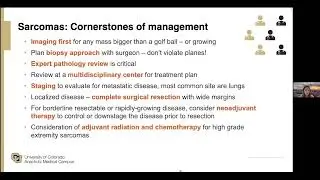 Sarcomas  Customizing Treatment Approaches by Subtype & Genetic Drivers