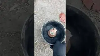 Big cracker under ground 🤯🤯   #fireworks #crackers #experiements #4thjuly #firecracker