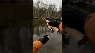 ЛУЧШАЯ РЫБАЛКА 2025 🎣 #рыбалка #спиннинг #ультралайт #шортс