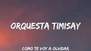 Orquesta Timisay - Como te voy a olvidar