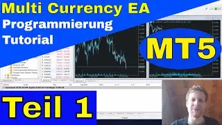 MetaTrader 5 (MT5) - Aufbau eines Expert Advisor (EA) - Programmierung Tutorial Teil 1