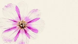 Relaxing Ambient Music 🎼 Deep Calmness and Sleep (Screen off in 5 min)