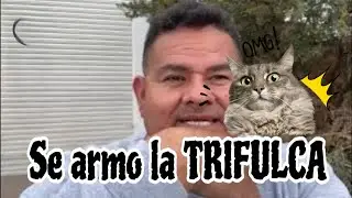 SE ARMO LA TRIFULCA 😧