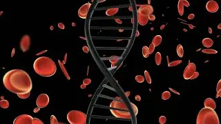 What is Chromosome