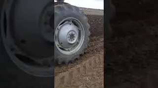 Tafe 42 Di plowing (oranje )