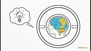 Why Specific Smells Instantly Bring Back Powerful Emotional Memories ?
