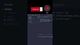 Hide text in image using python (steganography)😎💥 