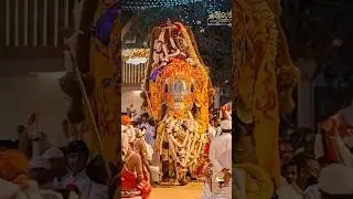 Katharagama Perahera 2025 🐘 #Kataragama #elephant #trending #wasana #trendingshorts #perahara #love