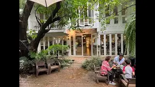 Fern Forest Caf&eacute; | Chiang Mai