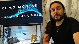 COMO MONTAR TU PRIMER ACUARIO🐠 - GAMBIARIO 🦐  37 Litros🌊