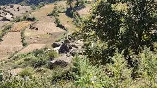&lrm;@NON COPYRIGHT VIDEOS&nbsp; (4)