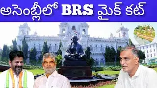 Revanth Reddy Abused Language in Assembly |Brs  mike cut
