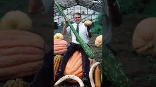 Giant Vegetables in Alaska! Discover the Secret!!!