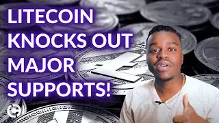 Litecoin Price Analysis October 2021 | Litecoin Drop Before Rebound!
