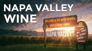 Discover NAPA VALLEY Wine: A Beginner&rsquo;s Guide