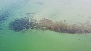 Tranerodde 🐟💚🎣 Fiskeplads i S&oslash;nderjylland