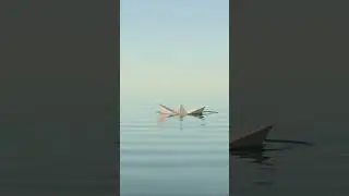 Why this paper boat's chill vibe is pure zen 🌊⛵️