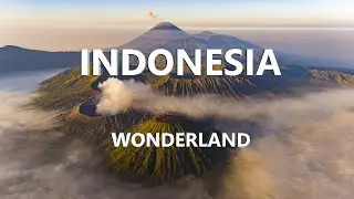 Wonderland Indonesia 2024 - Lost in Paradise