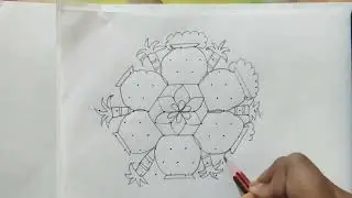 Sankranthi muggulu 😍 11*6 madhya chukka muggu