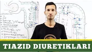 Диуретиклар фармакологияси. Тиазид ва тиазидсимон диуретиклар
