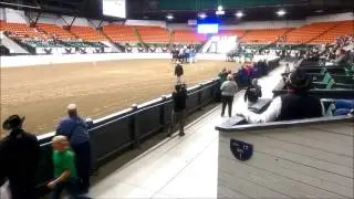 2014 World Percheron Congress Celebrity Drive with Charles Pol vs Dr. Pol