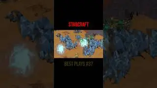 Starcraft - Best Clips Ep 37