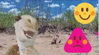 Animals Get Emotional: Helping Families Deal with Big Feelings Book Teaser