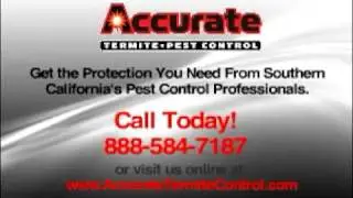 Accurate Termite and Pest Control Serving Irvine, CA, Orange County California