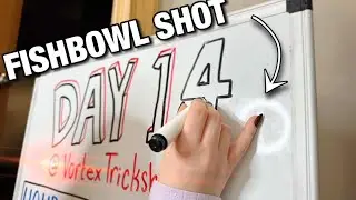 Impossible Fishbowl Trick Shot (Day 14) 🐳🏓✨