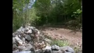 Forest Rally Driving | ACF Teambuilding & Events