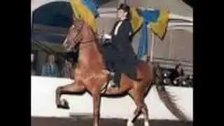 Riding Styles!