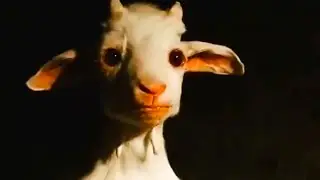يطلب المغفرة عن المجزرة الكبرى